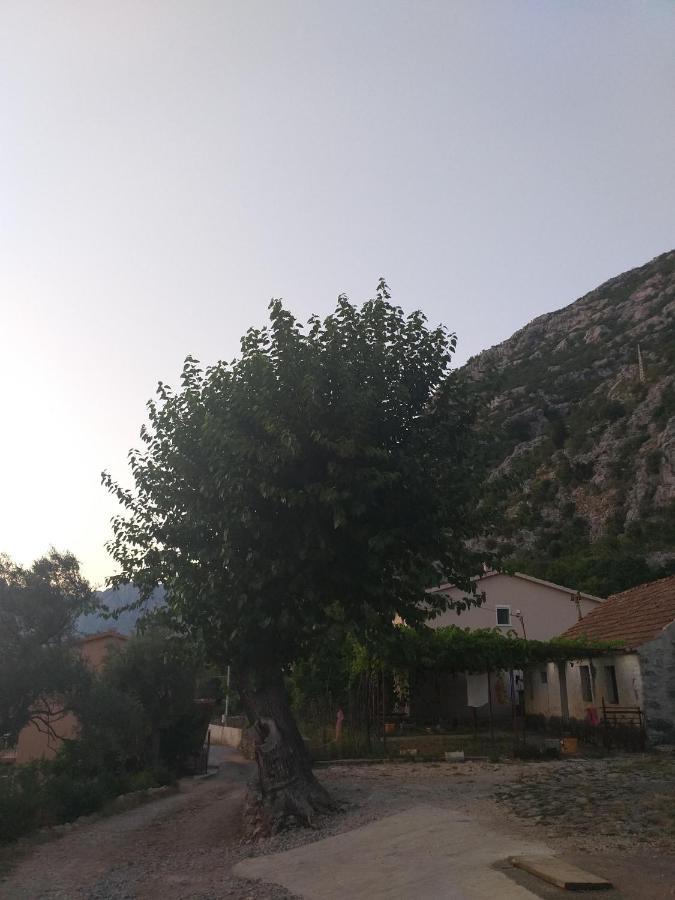 Sottomonte Apartamento Kotor Exterior foto